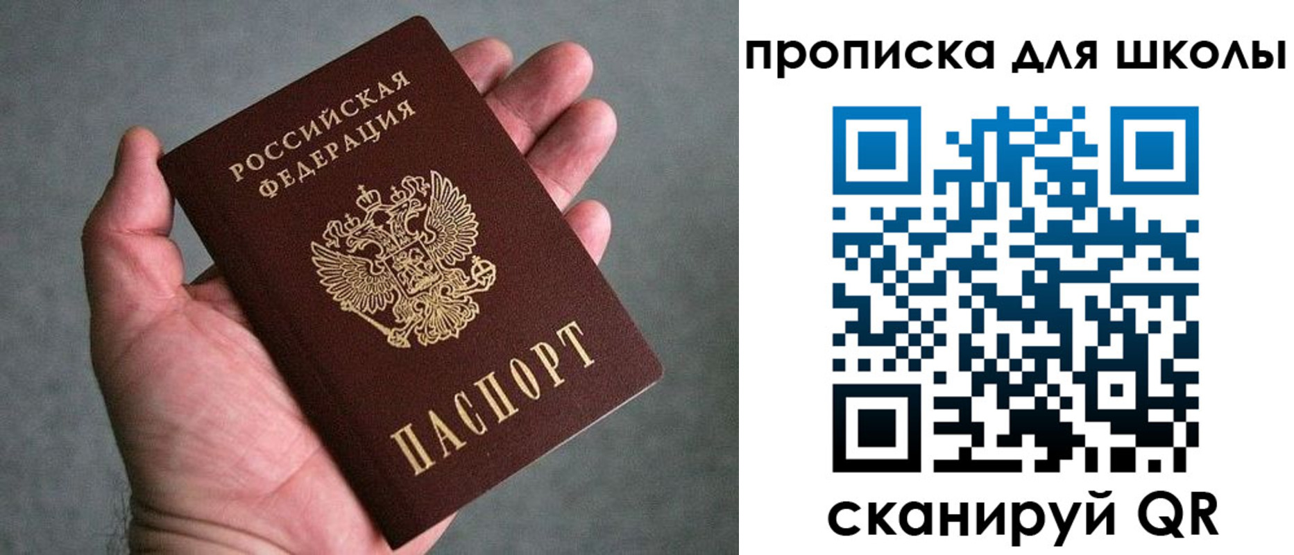 прописка для школы в Пролетарске